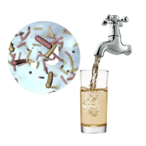 Acqua corrente